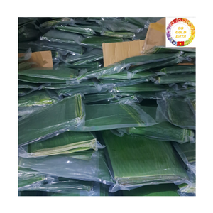 Feuilles de bananier surgelées de qualité supérieure pour l'emballage alimentaire et la cuisine, prix avantageux, 100% feuilles de bananier vertes fraîches - Product Image 5