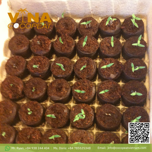 COCO <b>COIR</b> DISC EASY to USE CHEMICAL FREE for INDOOR OUTDOOR USE - Product Image 4