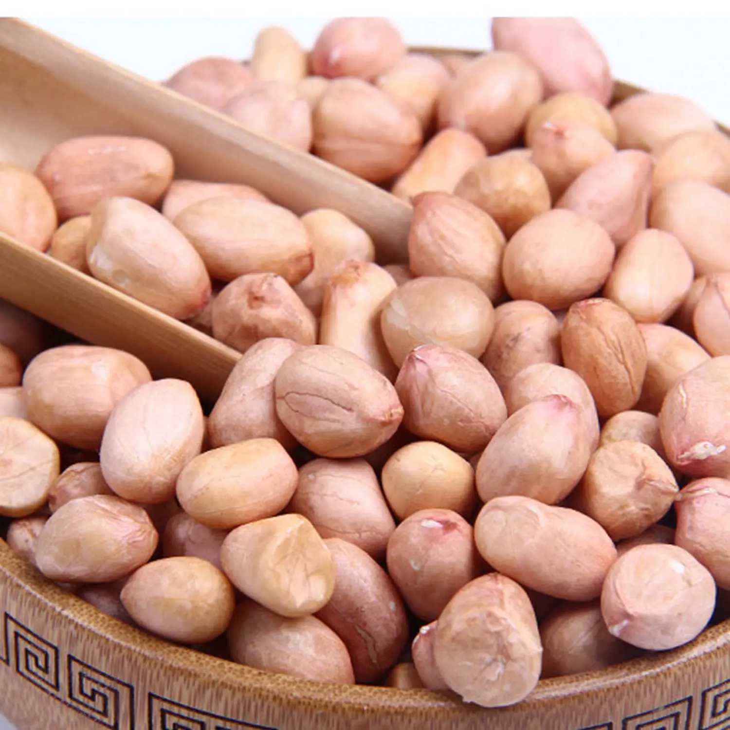 Peanut peanuts orgânico cru porca de chão em concha de peanuts