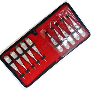 ชุดลิฟต์ช่องปาก10ชิ้นชุดเครื่องมือกำจัดปลายรากฟันแบบแมนนวล - Product Image 1