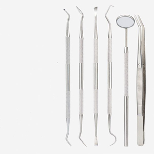 Ensemble d'outils dentaires professionnels FIDA Kit de nettoyage d'hygiène dentaire en plastique jetable avec miroir dentaire réutilisable en acier inoxydable - Product Image 5