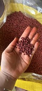 Semillas de Annatto de Alta Pureza, Achiote para Cosméticos y Producción de Pigmentos Naturales, Materia Prima de Bixa Orellana para Exportación - Product Image 4