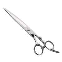 Ciseaux de coiffeur japonais en acier inoxydable de qualité supérieure professionnels Ciseaux de coupe de cheveux de beauté avec lames de précision sans effort