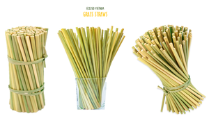 Pajitas de hierba biodegradables, protección del medio ambiente, para beber, venta al por mayor, Vietnam - Product Image 3