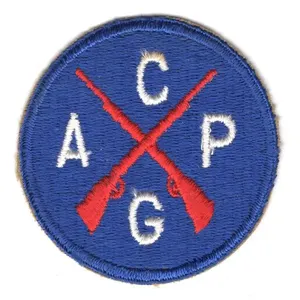 Patch di guardia della pattuglia aerea civile della seconda guerra mondiale | Texas assicura la toppa della bandiera di confine ricamata in ferro sull'applique del distintivo