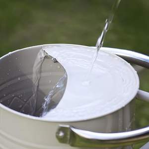 Regadera de metal ergonómica y confiable, diseñada para un uso prolongado, que ofrece una fácil vertido y un manejo equilibrado para jardineros. - Product Image 6