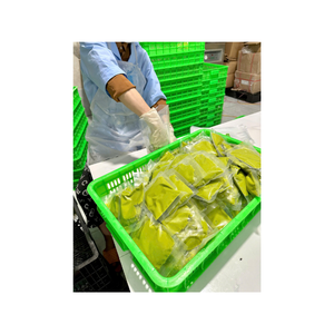 Dés d'avocat congelés provenant du Vietnam traités avec une méthode de congélation avancée pour conserver la fraîcheur adaptée à la vente en gros - Product Image 5