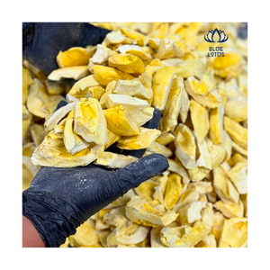 MEILLEURE VENTE, le durian lyophilisé du Viet Nam conserve le goût authentique du durian dans une forme portable pratique - Product Image 1