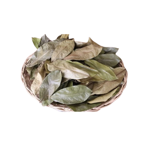 Graviola แห้งหรือ100% แห้งใบทุเรียนเทศธรรมชาติ - Product Image 4