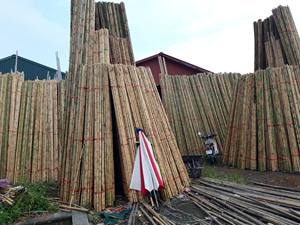 Tube de poteaux en bambou naturel produit décoratif de style traditionnel vietnamien tube de poteaux en bambou bambou naturel - Product Image 4