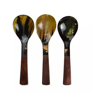 Juego de cubiertos desechables de lujo de bajo costo Cuchara de cuerno Niños populares para restaurantes de oficina en casa por Crescent Crafts - Product Image 2