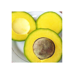 Aguacate Congelado de Alta Calidad a Precio Competitivo, Fruta Tropical y Subtropical, Aguacate Fresco de Vietnam con Precio de Fábrica - Product Image 4