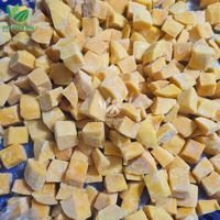 Groothandelsprijs Hoge kwaliteit gepelde fruitpulpblokjes LQF diepvries mango vacuüm verpakt