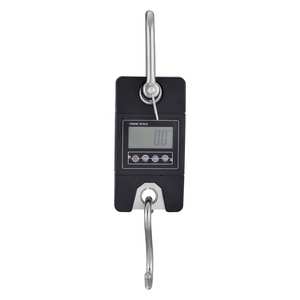 Balance numérique portable 300 kg - Product Image 1