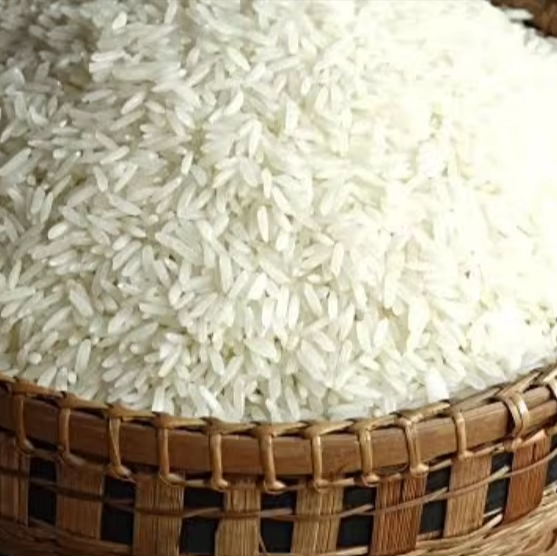 How to Choose Rice Seeds for Farming: A Complete Buyer's Guide
