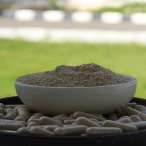 Cápsulas de extracto de hierbas de Ashwagandha veganas de alta resistencia, suministro a granel de etiqueta privada, fórmula Withania Somnifera cultivada en estado salvaje - Product Image 3