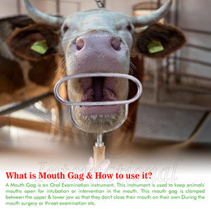 Instrument vétérinaire Schulze, écarteur buccal/cale en acier chromé avec manche en bois - Product Image 6