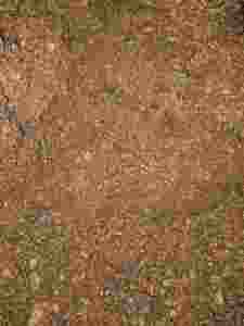 Turba mejorada con nutrientes Idéal hortalizas flores plantas de arriate plantas de interior arboles plantas ornamentales - Product Image 2