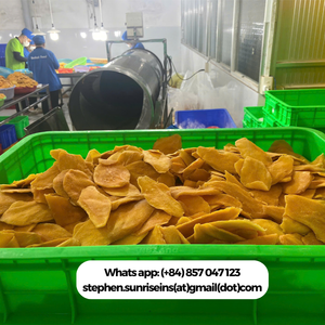 2024 High Quality Soft Dried Mango Slices Vietnam Bulk Vacuum <b>Pack</b> Water Preserved Sweet Taste Export WA Stephen 84857047123 - Product Image 6