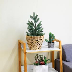 Panier en jacinthe d'eau naturelle à tissage ouvert, conique, fait à la main, panier de rangement, vente en gros, écologique, fabriqué au Vietnam - Product Image 6