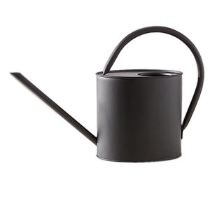 Arrosoir en acier inoxydable massif artisanal avec double poignée en bois, nouveau design, fabricant et fournisseur d'arrosoirs - Product Image 5