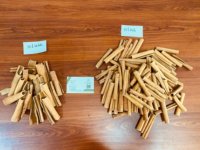 Cigarette Gyepi/ Opchoei/ Cinnamon Roll 70% de haute qualité du Vietnam-Abordable et aromatique (WA: + 84362512699)