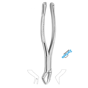 Fórceps de extracción NEVIUS de acero inoxidable de alta calidad, molares superiores, figura derecha 88R, Instrumentos dentales - Product Image 3