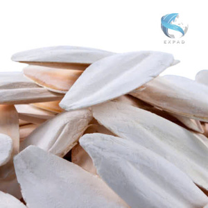 Huesos de calamar secos Huesos de pescado de calamar grandes Hueso de calamar para juguetes seguros para mascotas en Vietnam - Product Image 3