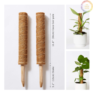 Natural Coir Totem Poles - Perfect <b>Plant</b> <b>Support</b> for Monstera, Pothos, and Climbing <b>Plants</b> - Product Image 2