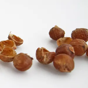 Frutos secos de jabón del Himalaya, detergente alternativo para ropa y limpieza, jabón Natural, bayas, nueces de jabón de Nepal, venta al por mayor