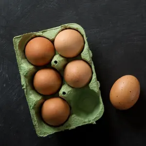 Taze Cobb 500 ve Ross 308 yumurta/doğal olarak çiftlik taze yumurtaları koydu: her kabukta sağlıklı beslenme