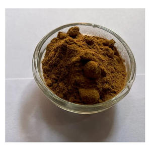 Kurchi Wrightia Antidysenterica Extracto de hierbas Polvo puro de grado alimenticio Forma Calidad de exportación India Botellas empaquetadas Precio al por mayor - Product Image 2