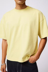 Camiseta gráfico con estampado de algodón 100% liso suave de alta calidad con colores personalizados, Camiseta corta recortada de gran tamaño con hombros caídos bordados - Product Image 2