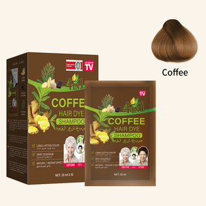 PLOG Shampoo Colorante Istantaneo 20ml - Caffè, Formula allo Zenzero Vegetale Senza Irritazioni Personalizzabile OEM - Product Image 1