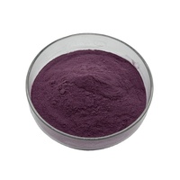 100% Natuurlijk Ribes Nigrum Fruit Vriesgedroogd Poeder/ Zwarte Bessen/ Zwarte Bessenpoeder