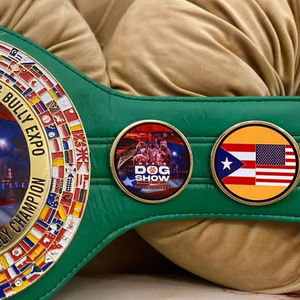 เข็มขัดแชมป์แบบกำหนดเอง (ทองแดง/โลหะผสมทองแดง)-ถ้วยรางวัล เหรียญรางวัล และรางวัลต่างๆ สัญลักษณ์สูงสุดแห่งชัยชนะและความเป็นเลิศ - Product Image 5