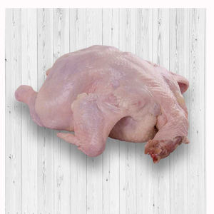 Pollo congelado Halal entero Más vendido Grado Premium Alta calidad Precio bajo Aves de Corral frescas Carne de pollo congelada entera de Brasil - Product Image 2