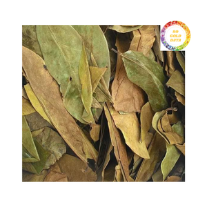 Graviola de qualité supérieure en feuilles de corossol séchées prêtes à l'exportation du Vietnam, meilleur prix de vente - Product Image 3