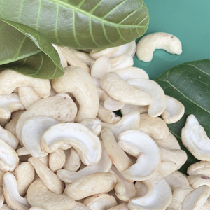 Vente en gros pas cher de noix de cajou crues noix de cajou noix de cajou Vietnam haute qualité noix de cajou court délai - Product Image 1