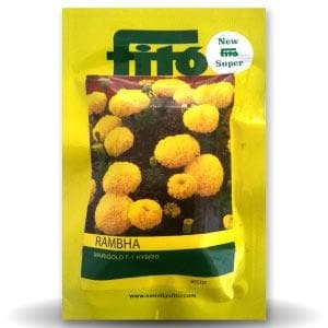 - - Product Image 1