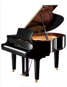 Vente flash Nouveau piano à queue électronique C1X-PE Bois d'ébène poli avec options de couleur DISPONIBLE - Product Image 1