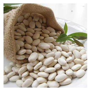 Stock en vrac de haricots blancs séchés biologiques au meilleur prix disponible avec emballage personnalisé - Product Image 4