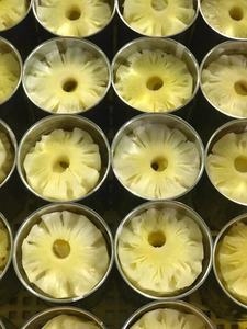 Tranches et morceaux d'ananas en conserve de qualité supérieure, naturels, dans un sirop léger - Product Image 4