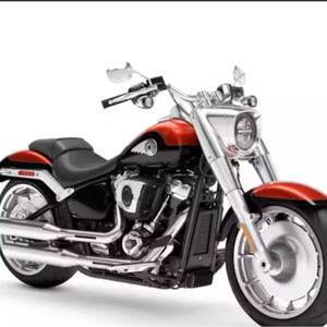 ลดราคา 2025 สำหรับรถมอเตอร์ไซค์ครุยเซอร์ Harley-Davidson รุ่น FLFB - Fat Boy สำหรับขาย - Product Image 4