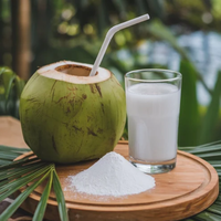 Polvo de Agua de Coco al por Mayor |   Agua de Coco Fresca Natural |   Fábrica en Vietnam