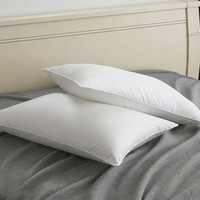 Sarung Bantal Anti Tungau Hipoalergenik Poliester Berkualitas Tinggi Ukuran Queen dan King untuk Penggunaan di Kamar Tidur Keluarga