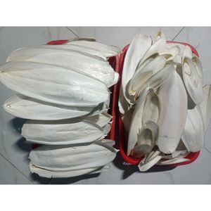 Good Price Durable <b>Interactive</b> Pet Chew <b>Toy</b> Cuttlefish Bone High Quality Natural Teeth Cleaning Wholesale VietChoice Vietnam - Product Image 2