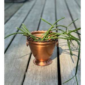 Jardinières en laiton de qualité supérieure durables avec drainage pour plantes d'intérieur et poignée en laiton forme et taille personnalisées pour les intérieurs de luxe - Product Image 3