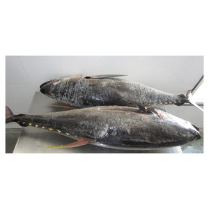 Atún amarillo congelado de bajo costo, organizado para la venta al por mayor. - Product Image 3