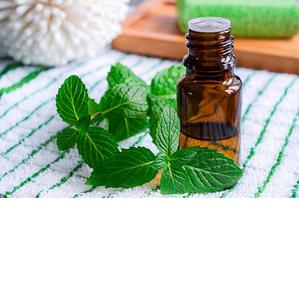 El mejor precio en aceite esencial de menta natural puro directamente de la India - Product Image 4